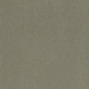 FRANCOISE PAVIOT - Plain Woven Paper Tablecloth Tea Green 1.60 m x 2.4 m