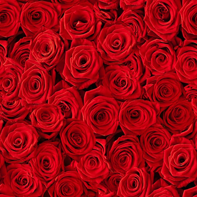 20 Napkins, Red Rose Bed, Flowers, Wedding Valentine's Day, Mother's Day, Table Decoration, Decoupage, Napkin