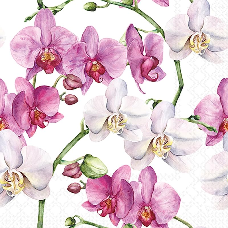 Ambiente Elegant Orchid Paper Napkins, Pack of 20, White Orchids, Table Decoration with Design Also for Party